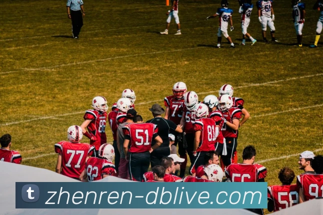 DB真人品牌故事