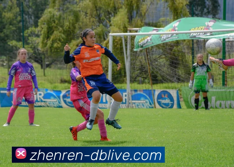 DB真人服务体系